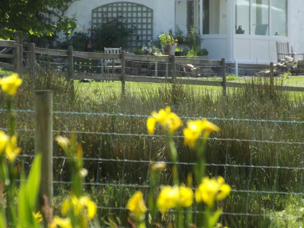 The Swallows Guest House New Quay  Kamer foto