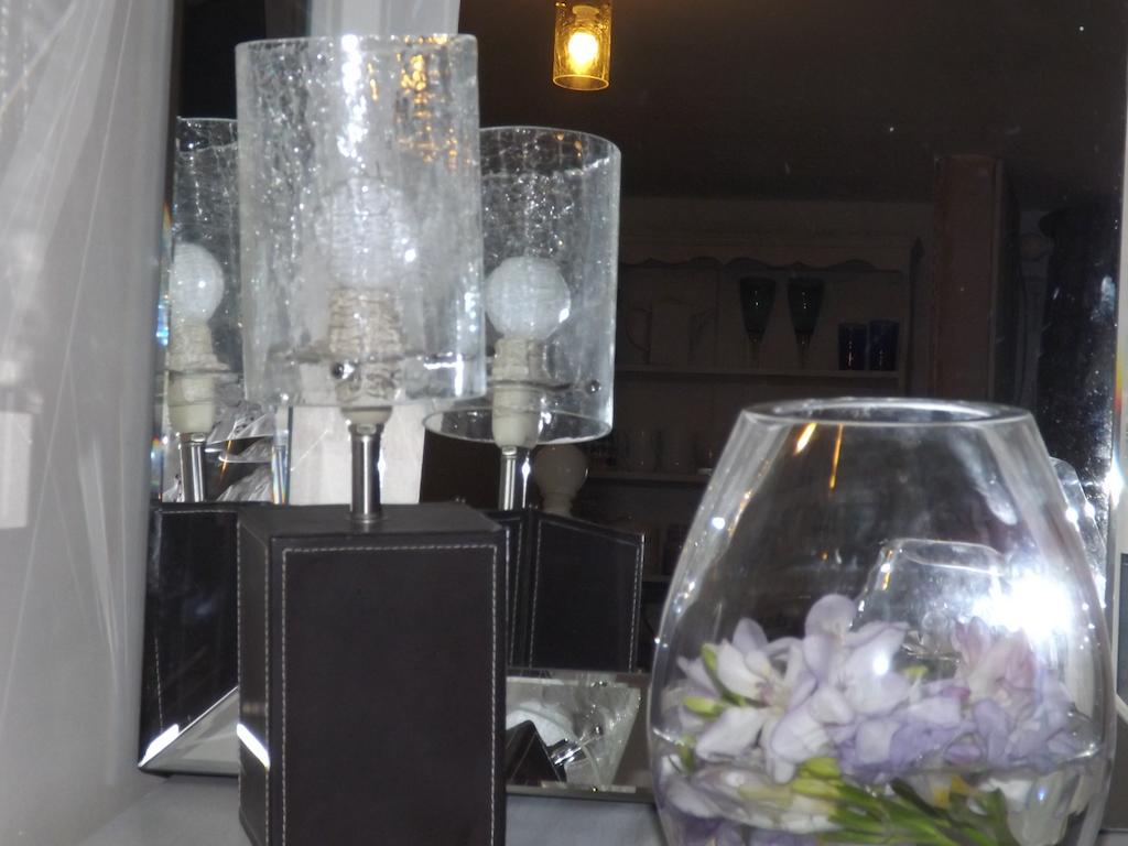 The Swallows Guest House New Quay  Buitenkant foto