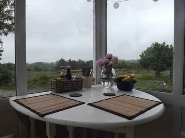 The Swallows Guest House New Quay  Buitenkant foto